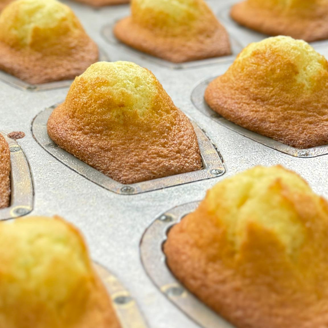 Madeleines (4pcs Set)